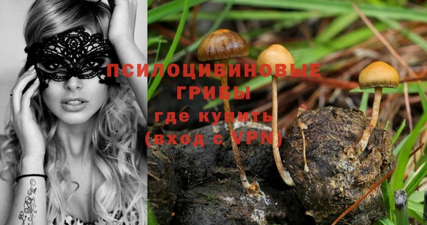 молекула духа Бугульма