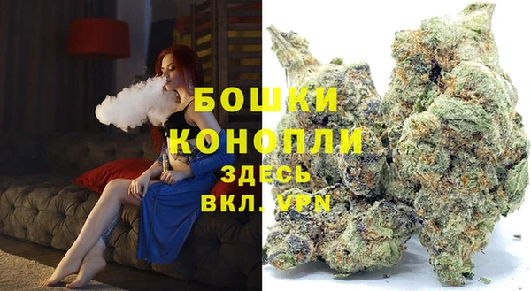 ПСИЛОЦИБИНОВЫЕ ГРИБЫ Бородино