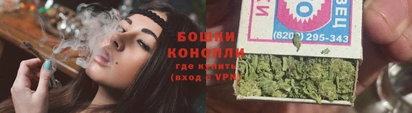 ПСИЛОЦИБИНОВЫЕ ГРИБЫ Бородино