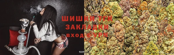 ПСИЛОЦИБИНОВЫЕ ГРИБЫ Бородино