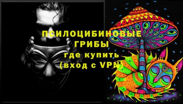 ПСИЛОЦИБИНОВЫЕ ГРИБЫ Бородино