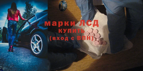 ПСИЛОЦИБИНОВЫЕ ГРИБЫ Бородино