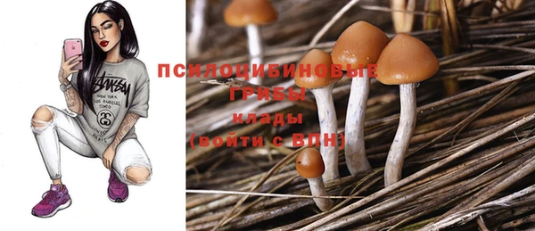 молекула духа Бугульма