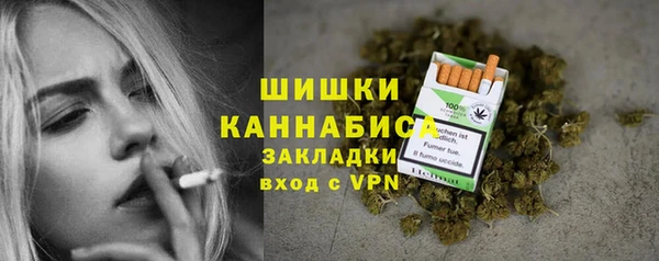 ПСИЛОЦИБИНОВЫЕ ГРИБЫ Бородино