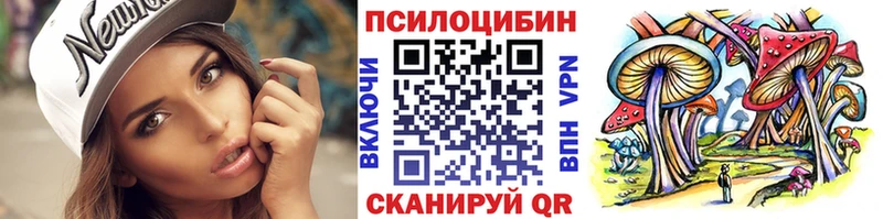Галлюциногенные грибы Psilocybe  kraken   Новоузенск 